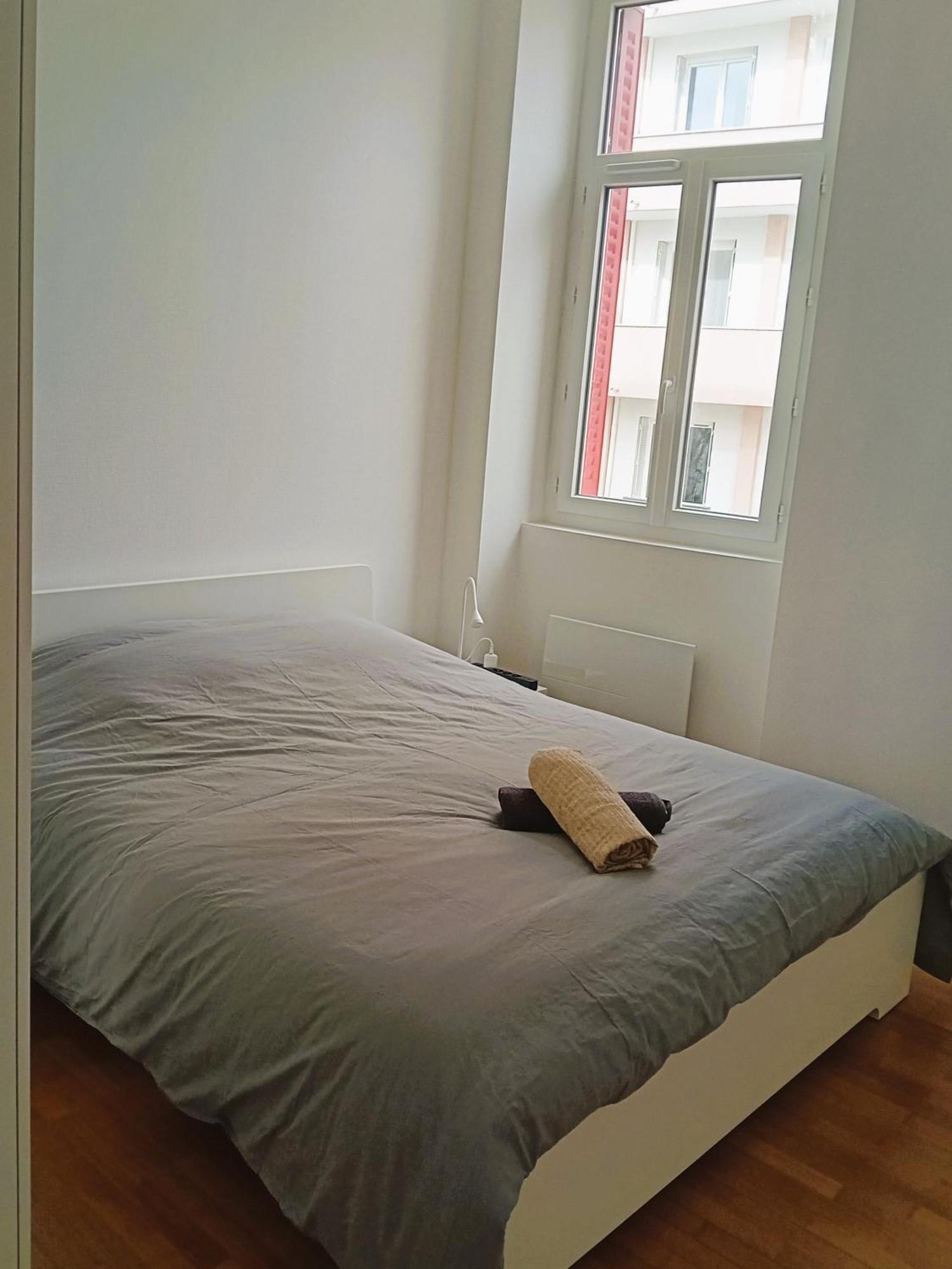 102 - Appart Renove Avec Grand Salon Et 1 Chambre - Tram Et Clinique Mutualiste A 1 Min Grenoble Exteriör bild